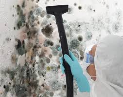 Best Mold Remediation for Rental Properties  in Newark, DE